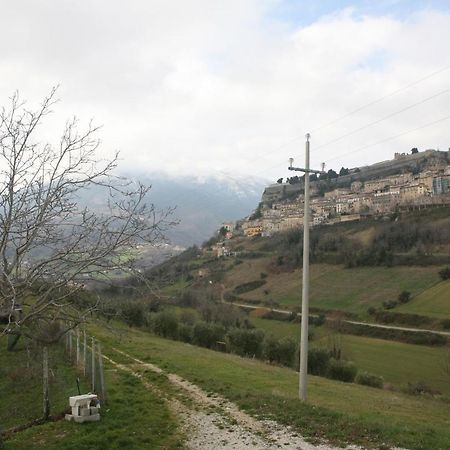 B&B La Collina Degli Ulivi Civitella Del Tronto Exteriér fotografie